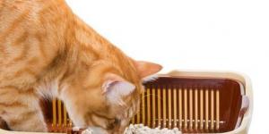 , Perchè il gatto fa la pipì fuori dalla sua vaschetta, Nuova Fattoria Pet Food
