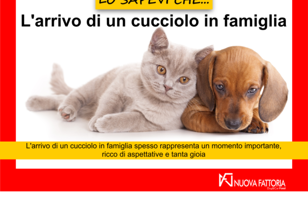 , The arrival of a puppy in the family, Nuova Fattoria Pet Food