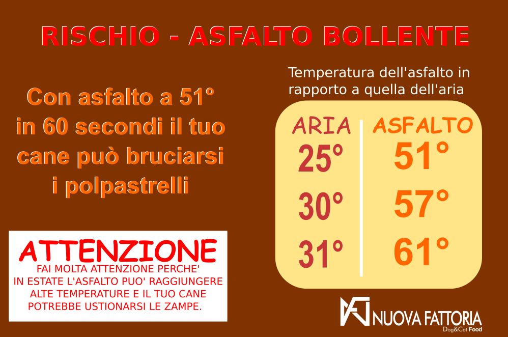 , Asphalt and high temperatures &#8211; Risk for the dog, Nuova Fattoria Pet Food
