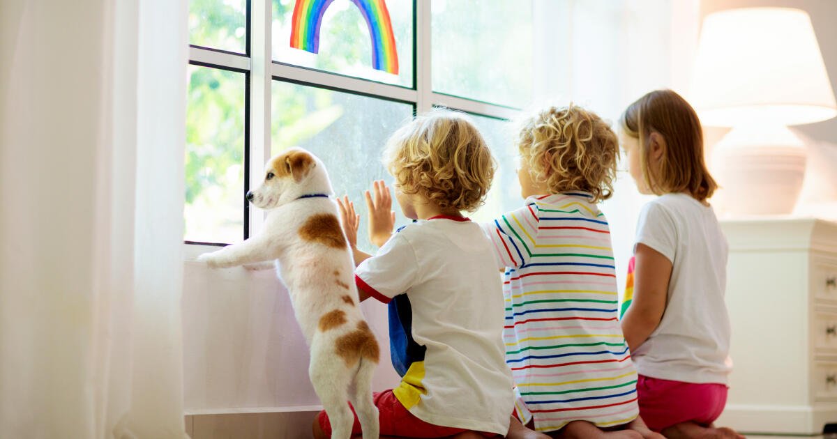 The benefits of the relationship between children and pets