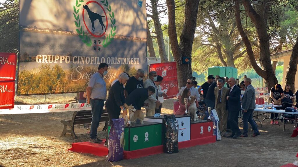 , National Dog Show of Sardinia CAC, Nuova Fattoria Pet Food