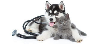 crocchette per cani e gatti, Home, Nuova Fattoria Pet Food